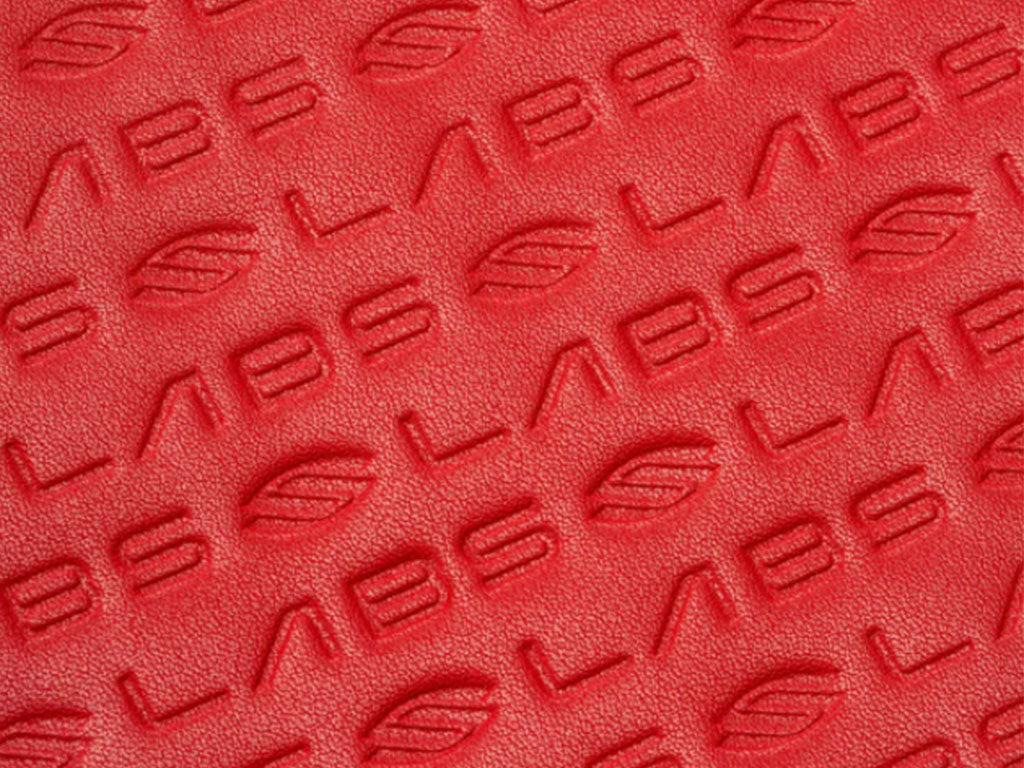Selkirk LABS Red Paddle Collectors Case